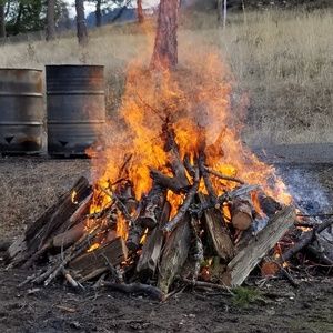 Meet your Posher, Den